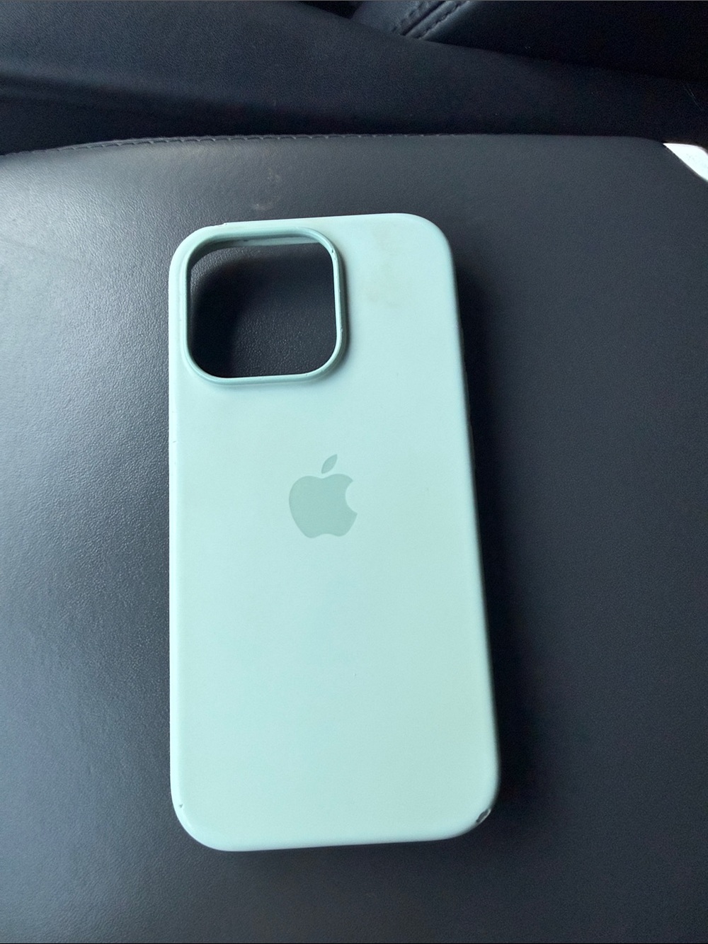 Apple Silicone iPhone Case - Mint Green